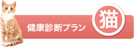 小滝橋動物病院　健康診断プラン 猫