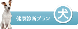 小滝橋動物病院　健康診断プラン 犬