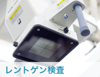 小滝橋動物病院　レントゲン検査