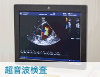 小滝橋動物病院　超音波検査