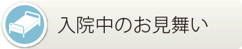 小滝橋動物病院　入院中のお見舞い