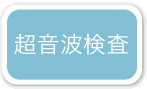 小滝橋動物病院　画像診断科 超音波検査